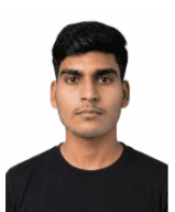 Ayush Sorte, SAP FICO Consultant